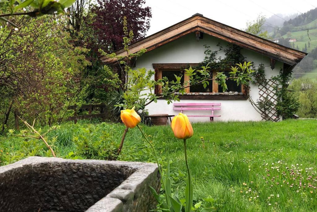 Zuhaus Schernfeichten Kitzbuhel Ngoại thất bức ảnh